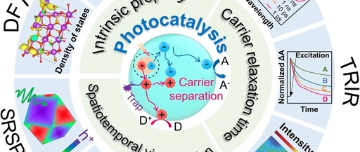 Transfer Dynamics of Photo-Generated Carriers in Catalysis