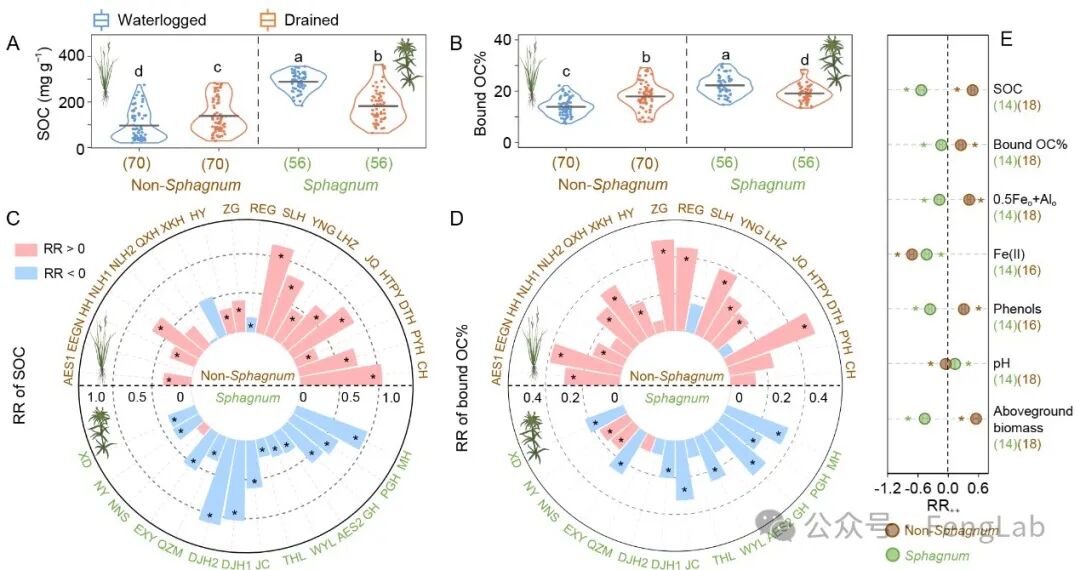 Research Progress | The Research Team of Editor Feng Xiaojun Reveals the Response of Metal-Bound Organic Carbon to Drainage: Sphagnum vs. Non-Sphagnum Wetlands