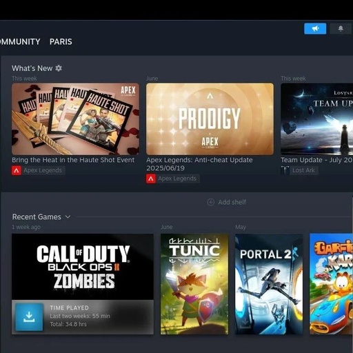 Running Steam Games on RISC-V