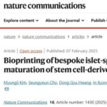 3D Printing of Islets: Can Printed Islets Treat Diabetes? Research Shows That Constructing Islet-Specific Microenvironments Through Bioprinting Technology Can Enhance Insulin Secretion!