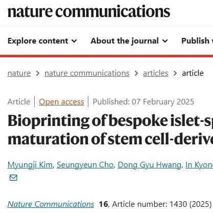 3D Printing of Islets: Can Printed Islets Treat Diabetes? Research Shows That Constructing Islet-Specific Microenvironments Through Bioprinting Technology Can Enhance Insulin Secretion!