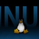 Why is Everything a File in Linux?