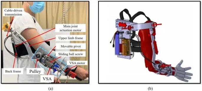 Bilateral Rehabilitation System Using Bilateral or Unilateral Assistive Robots Developed by Kagawa University Research Team