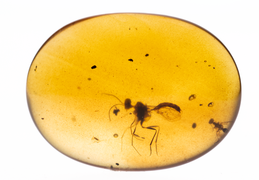 A New Paradigm for Programming Magnetic-Controlled Microrobots: A Joint Achievement by Xi'an Jiaotong University, City University of Hong Kong, and the Max Planck Institute Published in PNAS!