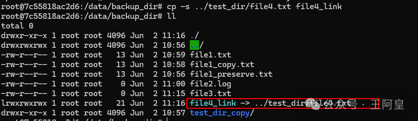 Mastering the Linux File System: The cp Command and Practical Applications 2