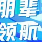 Review of the Peer Workshop: Growth Secrets of Embedded Experts