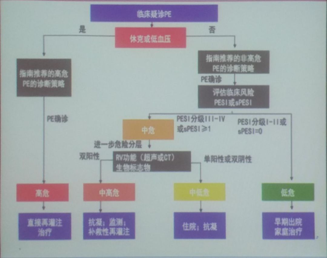 ICC 2019 | Yao Hua and Pan Lei: Interpretation of Acute Pulmonary Embolism Guidelines