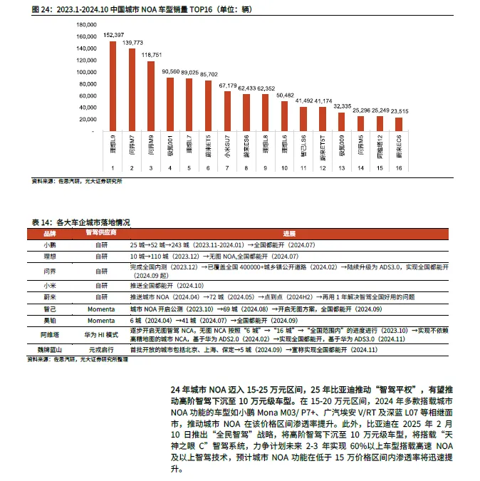 2025 In-Depth Report on Smart Driving SoC Industry