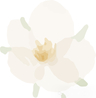 Image Encryption Using SIT: A Lightweight Encryption Algorithm for Secure IoT (Matlab Code Implementation)