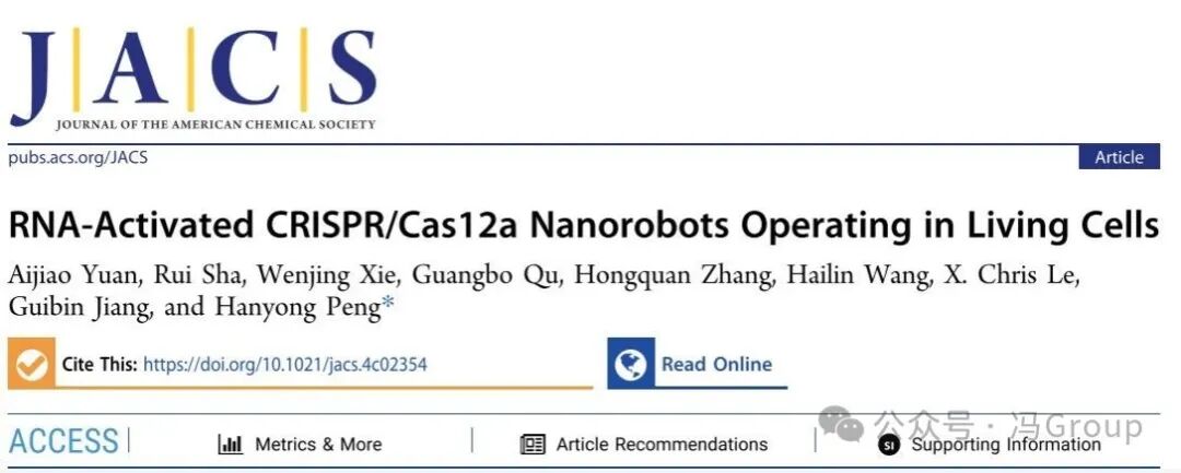 RNA-Activated CRISPR/Cas12a Nanorobots Operating in Live Cells