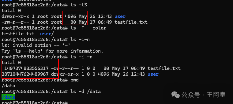 Mastering the Linux File System: Detailed Explanation and Practice of the ls Command Parameters