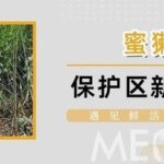 Building Secure Links: Technical Focus on Encrypted Remote Wireless Networking Transmission System Solutions!