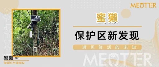 Building Secure Links: Technical Focus on Encrypted Remote Wireless Networking Transmission System Solutions!