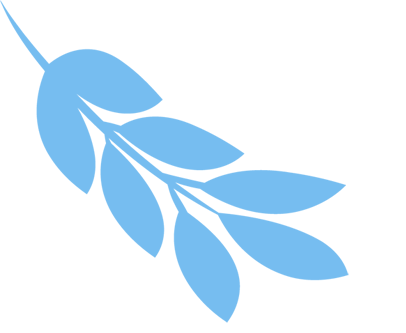 2025 Anhui Province Robot Competition Microcontroller and Embedded Systems Preliminary Round Successfully Held at Huainan Normal University