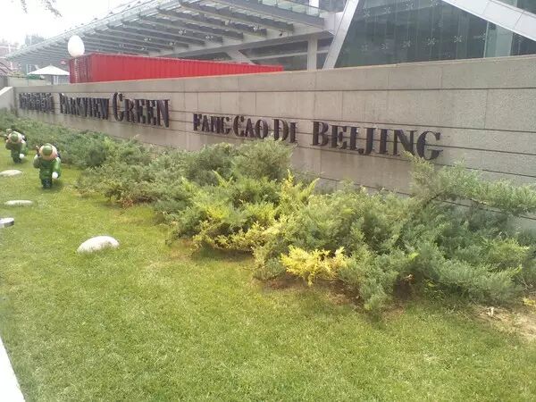 Red Pepper New National Monkey Sai Lei Review: A Good Entry-Level Choice