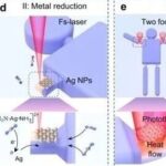Femtosecond Laser Dual-Process Creates 'Dancing Microrobots'