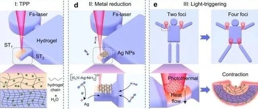 Femtosecond Laser Dual-Process Creates 'Dancing Microrobots'
