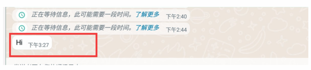 Implementation Record of WhatsApp Private Message Protocol