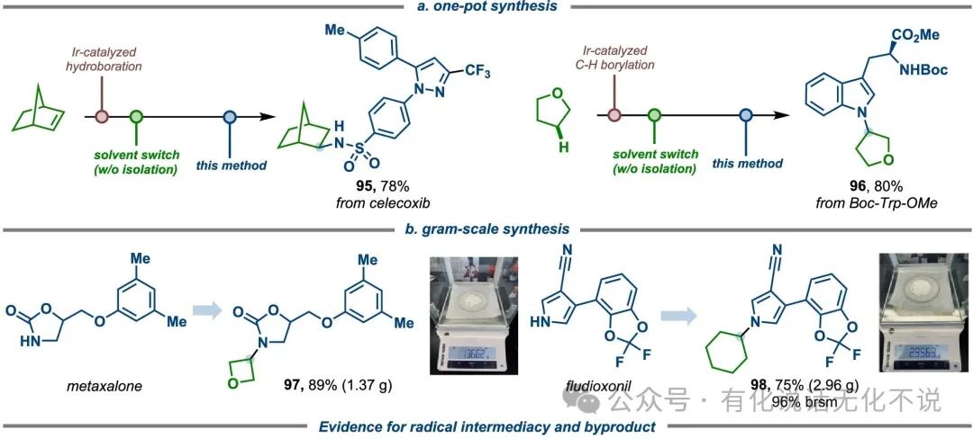 Goodbye Morpholine Radical