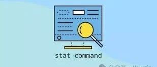 Linux stat Command