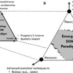 Existing and Emerging Methods for Assessing Soil Organic Matter (SOM) Dynamics