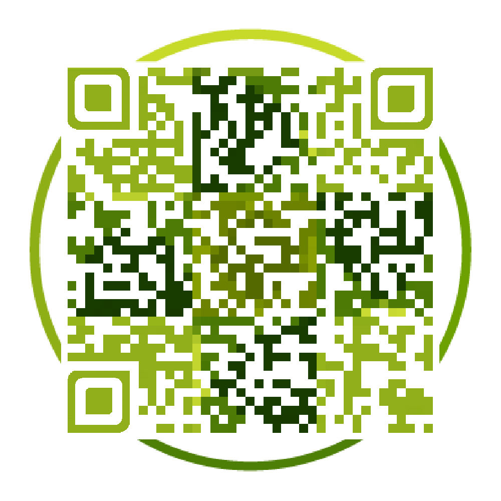 Timescale Identification Decoupling Complex Kinetic Processes in Lithium Batteries