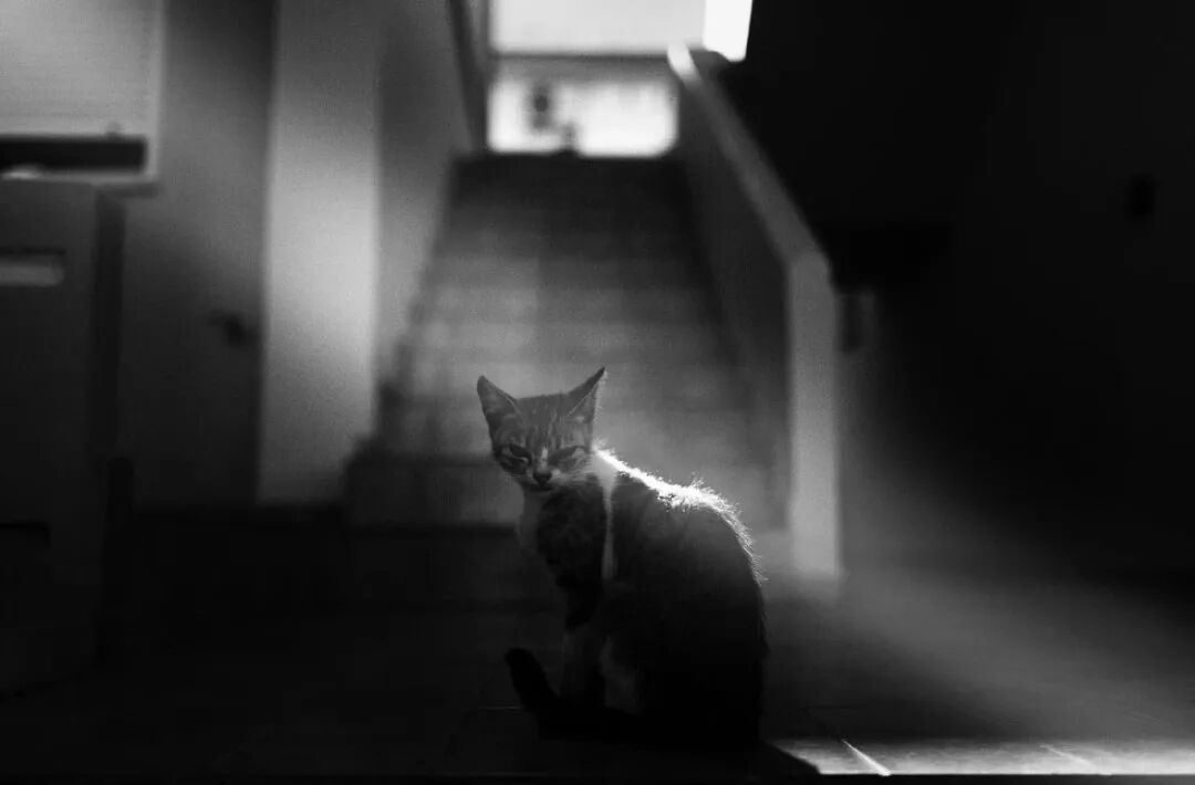 Photographer Oliver Takac
