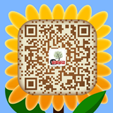 Long-Range π-Electron Delocalization Engineering Enhances the Efficiency of Single-Atom Catalysts for CO₂ Electroreduction