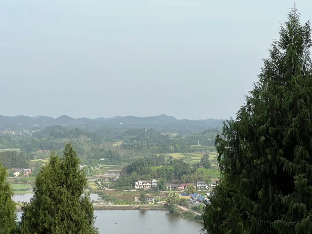 The Dance of Improvisation: The Unity of Body Awareness in Creation, Performance, and Appreciation