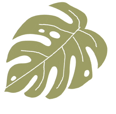 The Colorful Course: The Adventure of Stationery