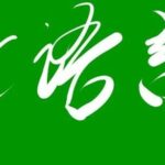 Proof that the main Function in C Language Can Only Have One Instance