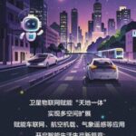 What Kind of 'Network' is Satellite IoT?