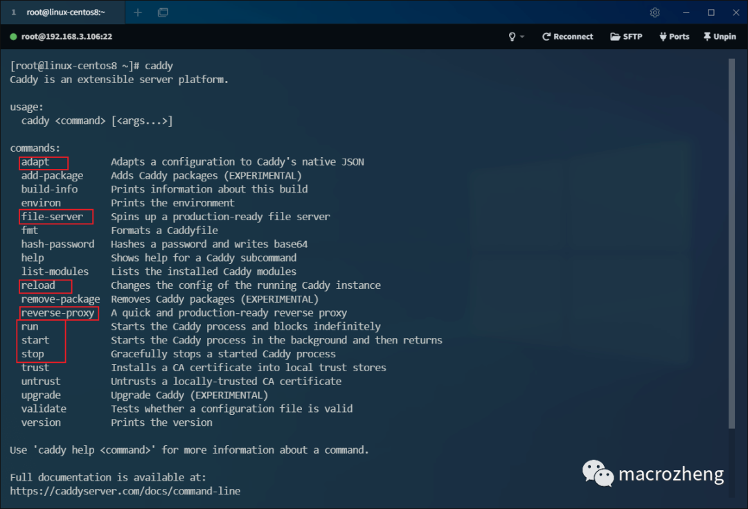 Beyond Nginx! The Next-Generation Web Server That Is Elegantly Designed!