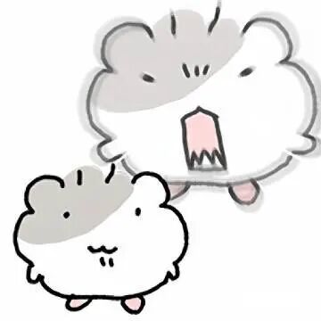 Somchi, the Cotton Ball Hamster!