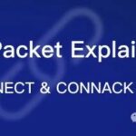 Detailed Explanation of MQTT Packets【01】: CONNECT & CONNACK