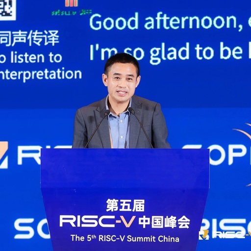 Analysis: Inference Deployment of Large Language Models on RISC-V Servers