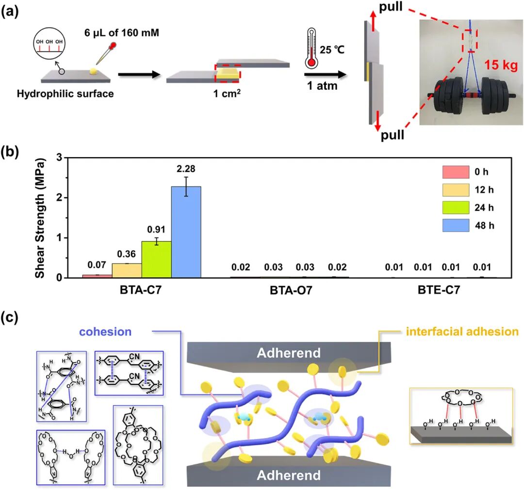 J. Am. Chem. Soc. | Jilin University’s Jiang Shimei: Achieving High-Performance Single-Component Adhesives through Synergistic Supramolecular and Covalent Polymerization