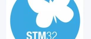 Comprehensive Official Resources on STM32 IAP