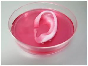 Can 3D Printing Cure Paralysis? A Two-Year Wait Finally Unleashed