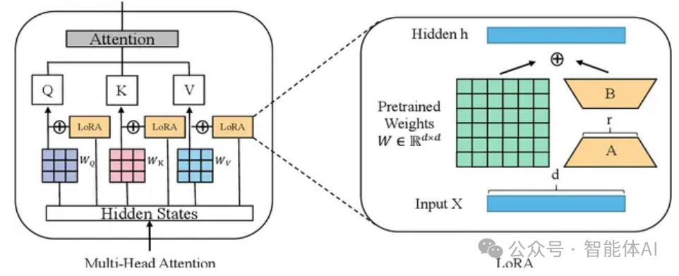 Why LoRA Has Become an Indispensable Core Technology for Fine-Tuning Large Models?