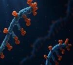 Cutting-Edge | Creation of a 'Biological AI' System that Simulates Natural Evolution to Accelerate Molecular Development