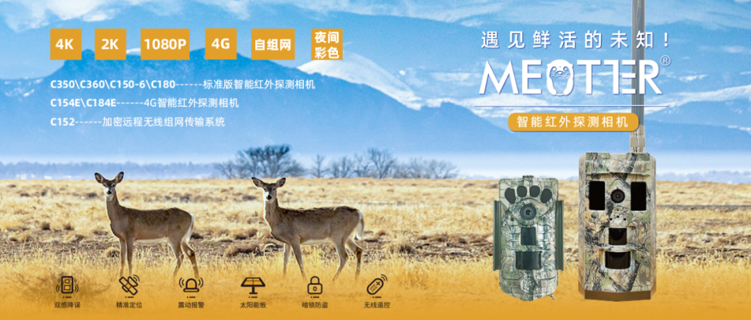 Building Secure Links: Technical Focus on Encrypted Remote Wireless Networking Transmission System Solutions!