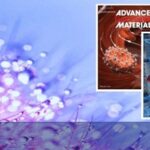 Bioinspired 3D-Printed NIR-Responsive MXene-Based Multifunctional Eutectogel Microneedles for Personalized Infected Wound Healing