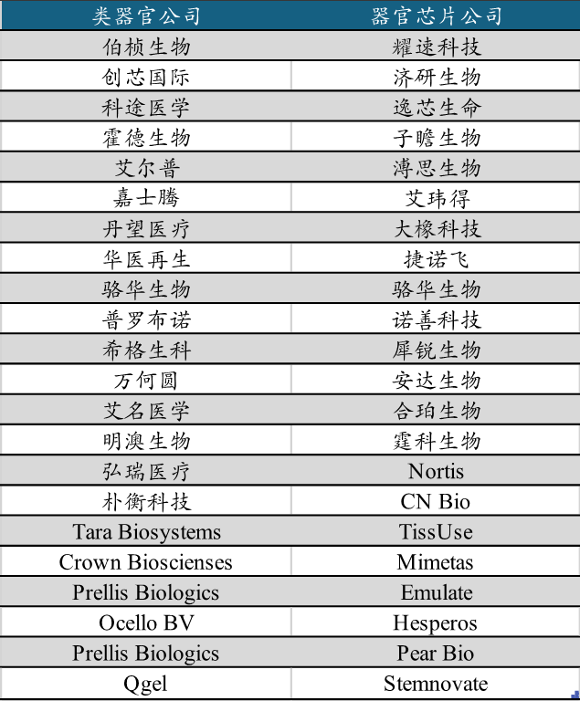 Industry Insights | Research Report on AI and Organoids and Organ-on-Chip Technologies