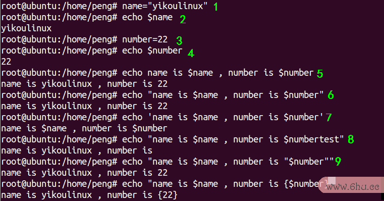 A Beginner's Guide to Shell Programming in Linux