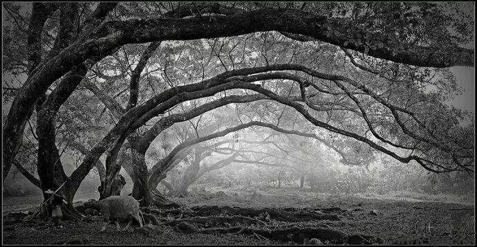 Photography | Yang Xiaoli and His Students: Photography is a Lifelong Passion