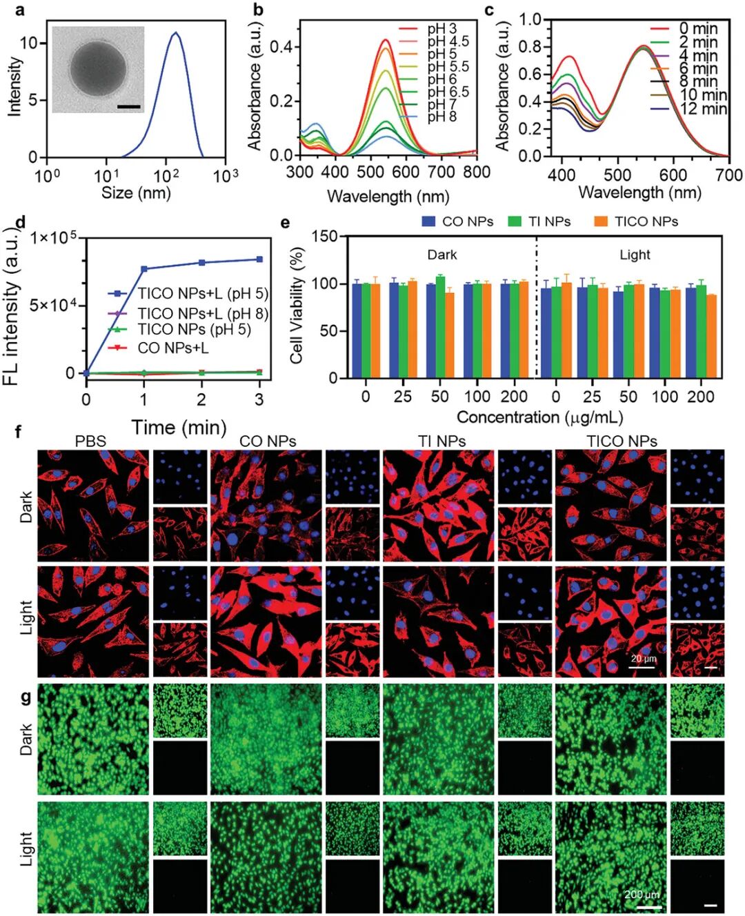 Bacterial Microenvironment-Responsive Microneedle Patches for Real-Time Monitoring and Synergistic Eradication of Infection