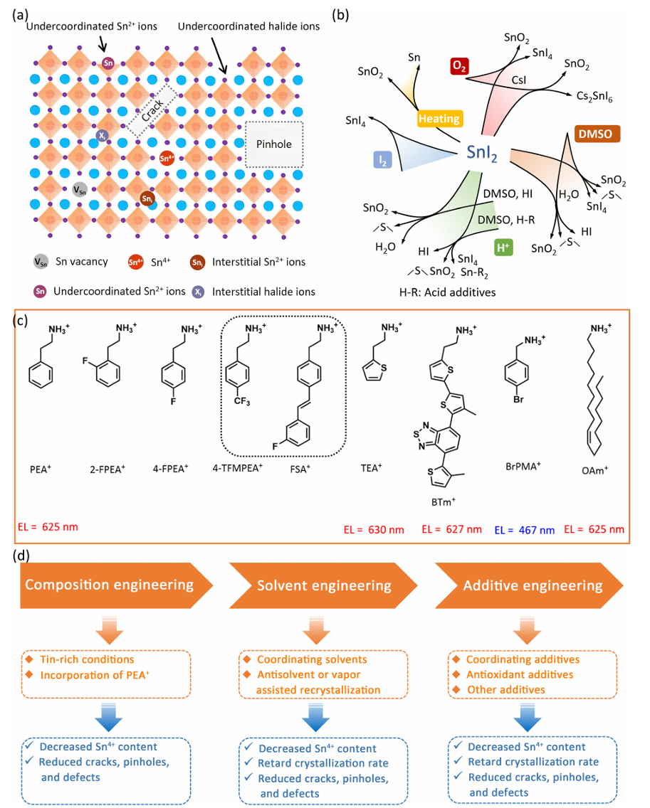 Review by Wang Jianpu & Huang Wei from Nanjing University of Technology: Tin Halide Perovskite Light Emitting Diodes