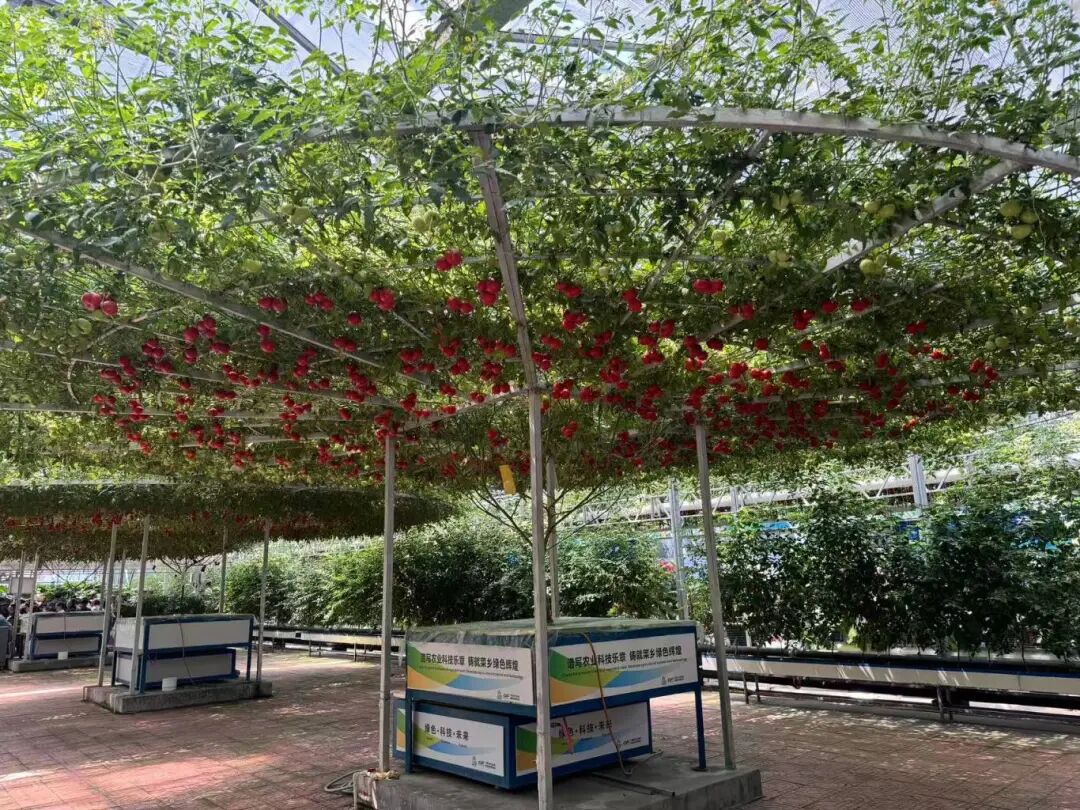 Robots as 'Farmers'! This Future Farm is Truly Impressive