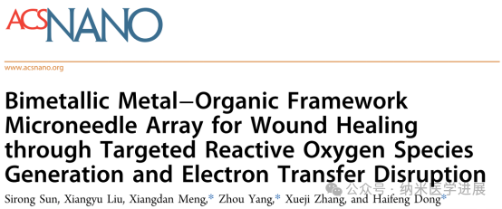Professor Dong Haifeng from Beijing University of Science and Technology in ACS NANO: Bimetallic Metal-Organic Framework Microneedle Array Promotes Wound Healing through Targeted Reactive Oxygen Species Generation and Disruption of Electron Transfer